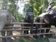 J06_Croisiere_Birmanie-89