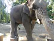 J06_Croisiere_Birmanie-92