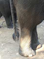 J06_Croisiere_Birmanie-94