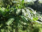 J06_Croisiere_Birmanie-99