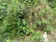 J07_Croisiere_Birmanie-25