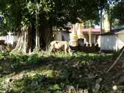 J07_Croisiere_Birmanie-58