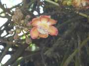 J07_Croisiere_Birmanie-72