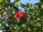 J07_Croisiere_Birmanie-81