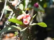 J07_Croisiere_Birmanie-82