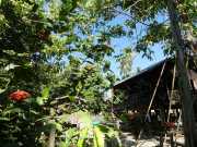 J07_Croisiere_Birmanie-83