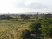 J09_Bagan-51