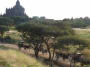 J09_Bagan-56