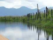 J11_Lac_Inle-43