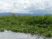 J11_Lac_Inle-65