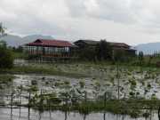 J11_Lac_Inle-92
