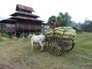 J12_Lac_Inle-104