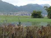 J12_Lac_Inle-120