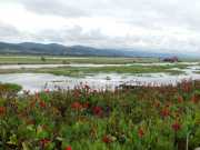 J12_Lac_Inle-153