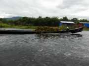 J12_Lac_Inle-160