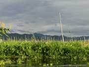 J12_Lac_Inle-163