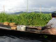 J12_Lac_Inle-164