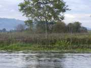J12_Lac_Inle-172