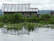 J12_Lac_Inle-68