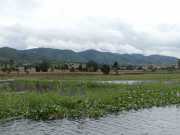 J12_Lac_Inle-91