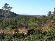 CARQUEIRANNE_17_07-3