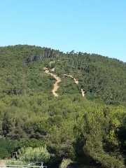 CARQUEIRANNE_17_07-4