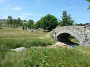 TARN1_17_06-10