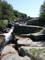 TARN1_17_06-2