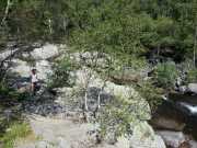 TARN1_17_06-3