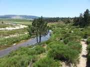 TARN1_17_06-7