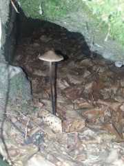 TREVEZEL_14_08-3