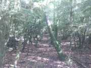 TREVEZEL_14_08-5