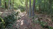 Trevezel_25_09-10