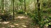 Trevezel_25_09-106