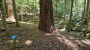 Trevezel_25_09-107