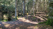 Trevezel_25_09-108