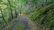 Trevezel_25_09-112