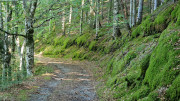 Trevezel_25_09-113