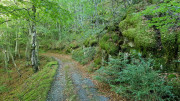 Trevezel_25_09-114