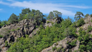 Trevezel_25_09-118