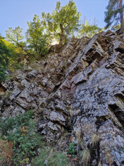 Trevezel_25_09-122