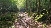 Trevezel_25_09-13