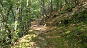 Trevezel_25_09-130