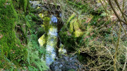 Trevezel_25_09-133