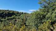 Trevezel_25_09-140