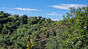 Trevezel_25_09-141