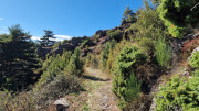 Trevezel_25_09-149