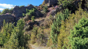 Trevezel_25_09-150