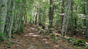 Trevezel_25_09-17