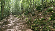 Trevezel_25_09-19